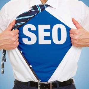 boise seo - idaho advertising - high google search engine rankings